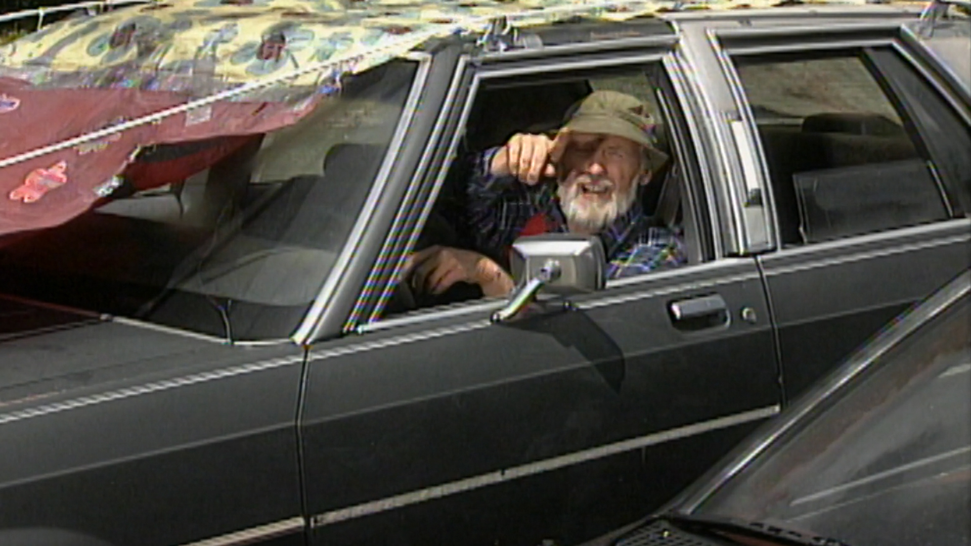 The Day of the Sunflowers